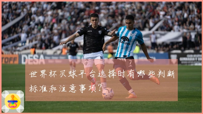 世界杯买球平台选择时有哪些判断标准和注意事项？