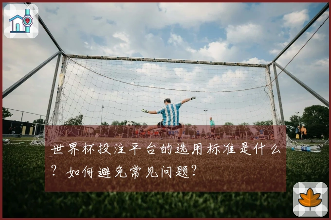 世界杯投注平台的选用标准是什么?如何避免常见问题?