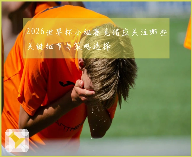 2026世界杯小组赛竞猜应关注哪些关键细节与策略选择
