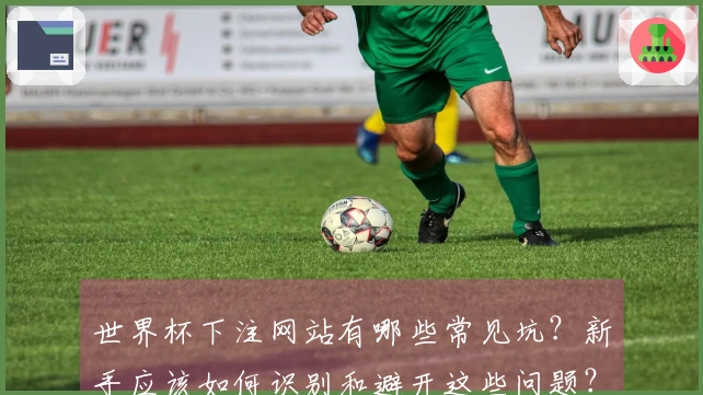 世界杯下注网站有哪些常见坑？新手应该如何识别和避开这些问题？