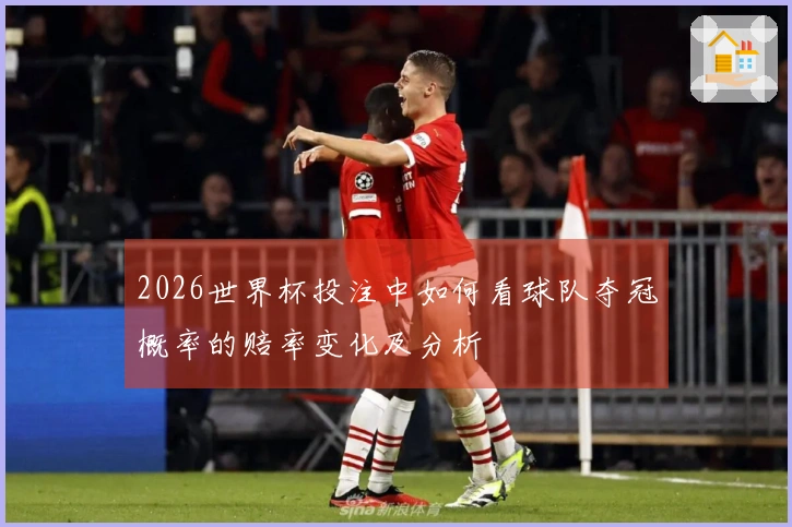 2026世界杯投注中如何看球队夺冠概率的赔率变化及分析